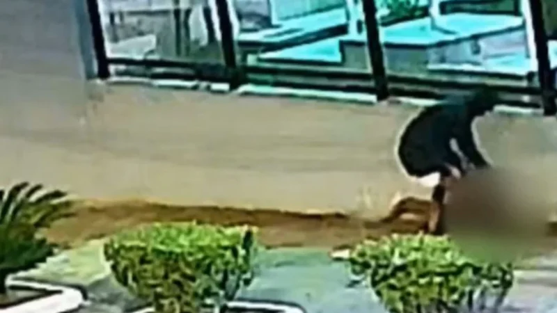 Jovem implora por celular durante assalto na Baixada - Vídeo