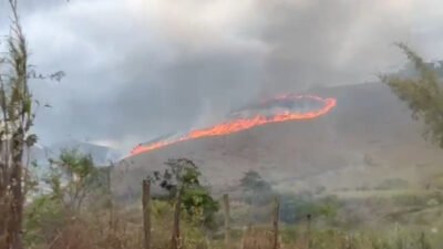 MPRJ investiga ações contra incêndios no Estado do Rio