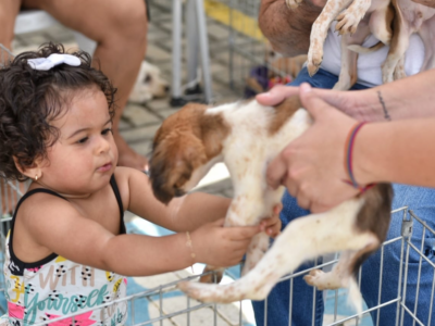 Maricá promove ação de adoção de animais resgatados