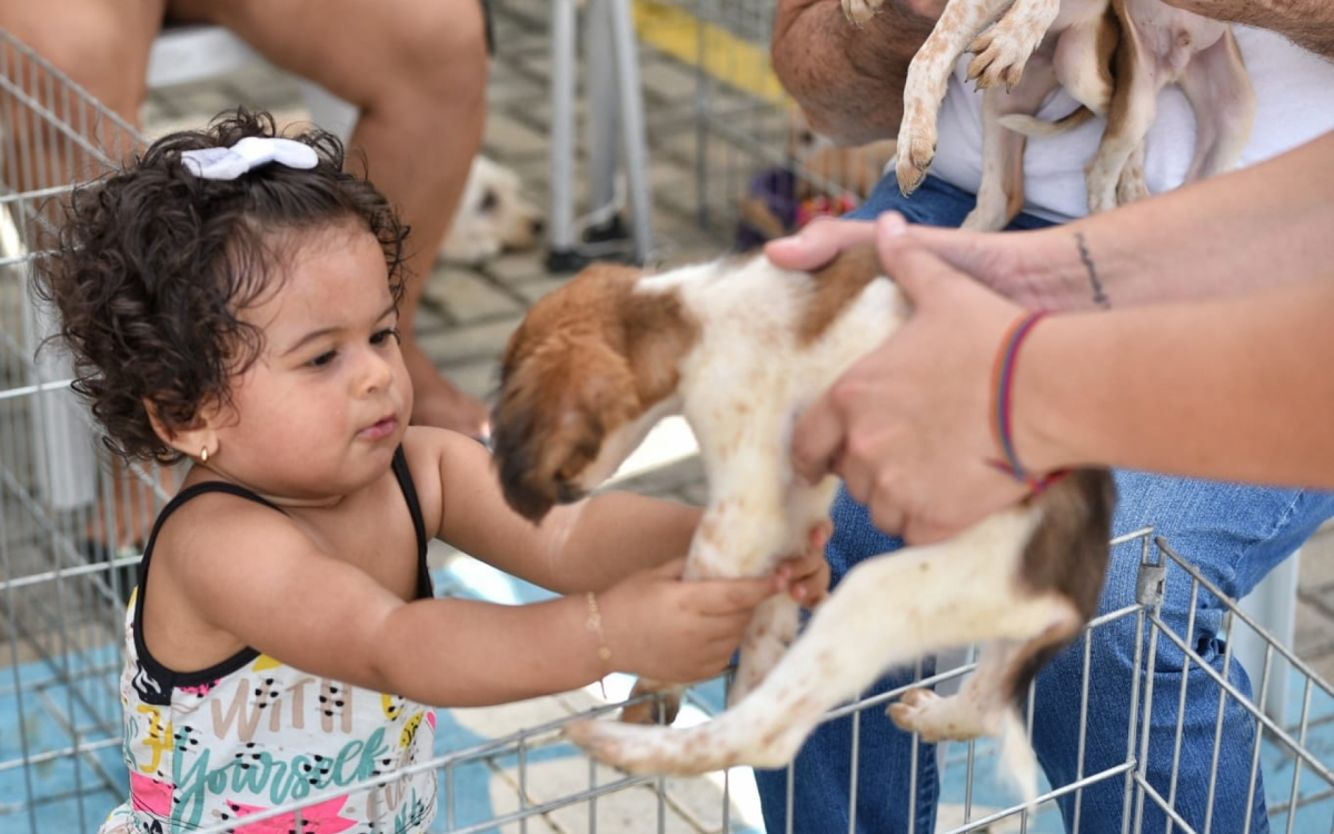 Maricá promove ação de adoção de animais resgatados