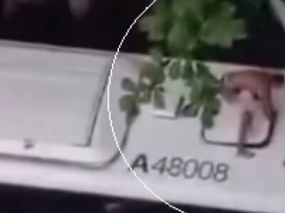 Mulher é agredida e ônibus é vandalizado em Copacabana - Vídeo