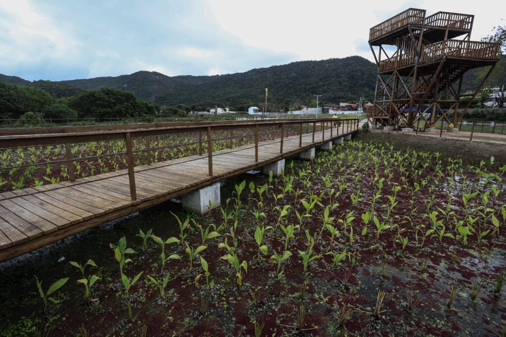 Parque Orla Piratininga: Orgulho brasileiro na Holanda