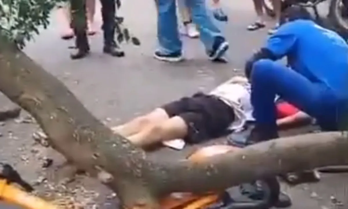 Queda de árvore fere jovem em Laranjeiras