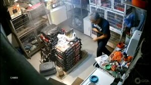 Agressão a protetor de gatos é investigada pela Polícia Civil