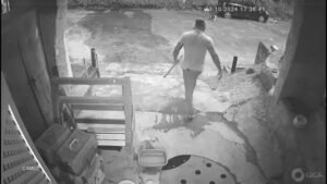 Agressão a protetor de gatos é investigada pela Polícia Civil