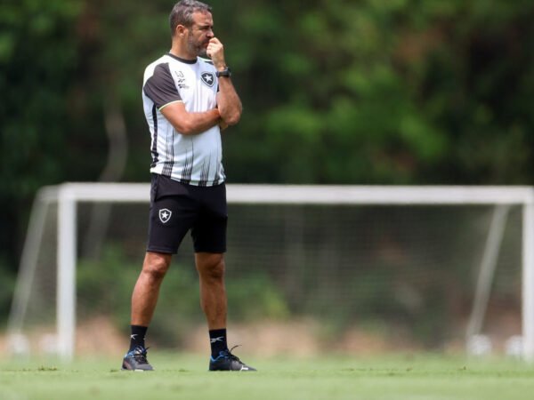 Botafogo vive um grande dilema em momento crucial da temporada