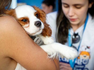 Campanha de vacinação antirrábica na Zona Oeste neste sábado