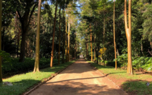 Homem é preso por importunação sexual contra estudantes no Jardim Botânico