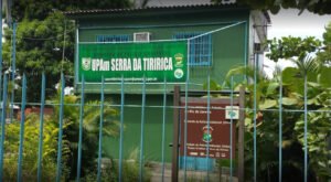 Papagaio em cativeiro é apreendido em Maricá