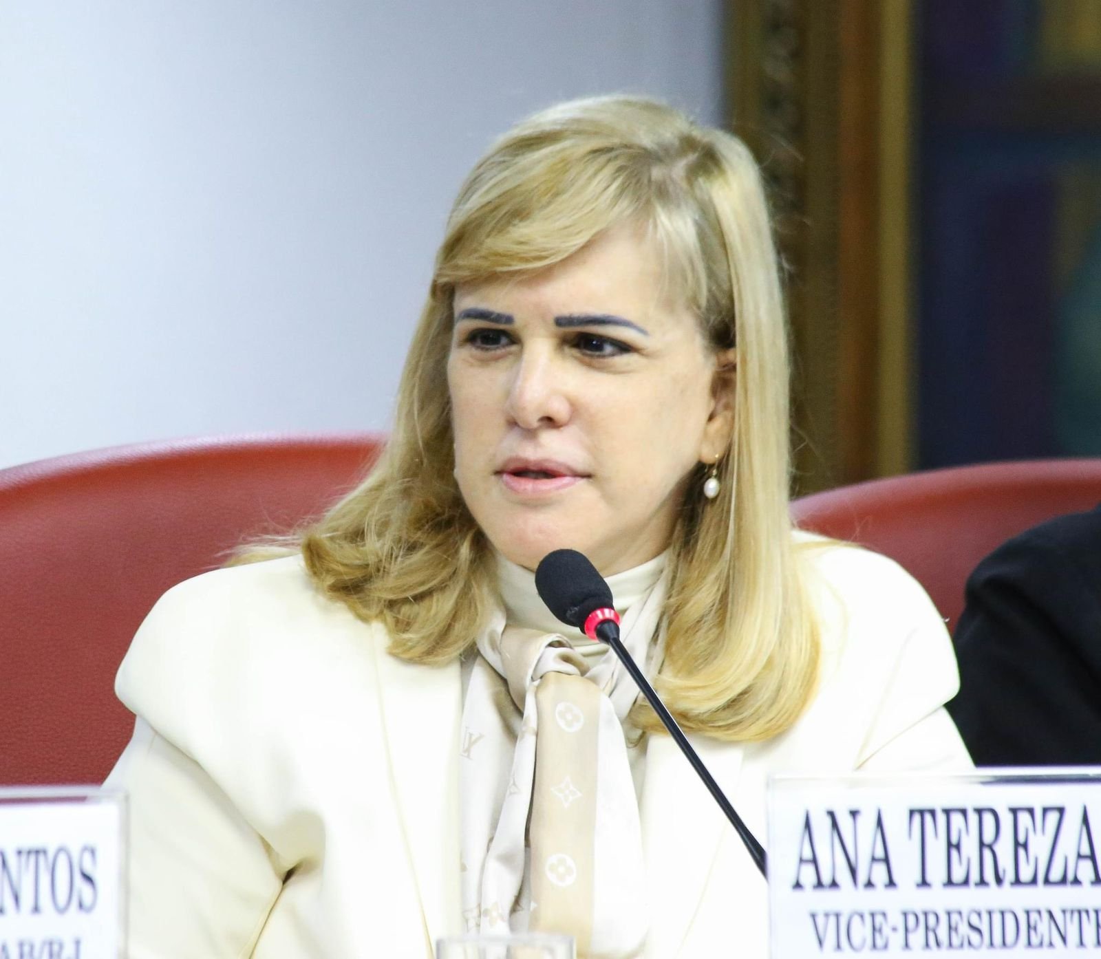 Ana Tereza Basílio: há menos de um mês no cargo, ela já enfrenta uma difícil de violação de prerrogativa.