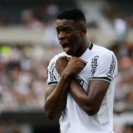 Botafogo busca títulos internacionais após Libertadores