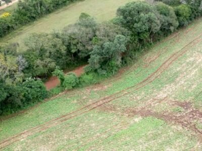 Projeto de Lei incentiva produção sustentável