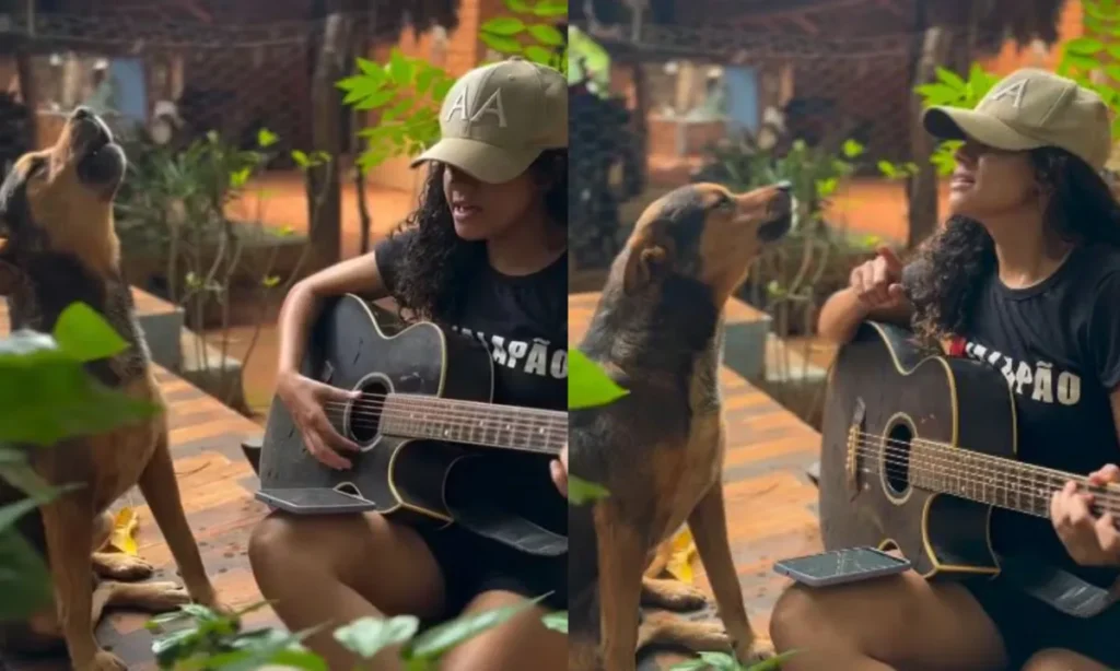 Influenciadora e cachorro viralizam com dueto sertanejo - Vídeo