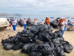 Manguezais renascem no meio do lixo na Baía de Guanabara