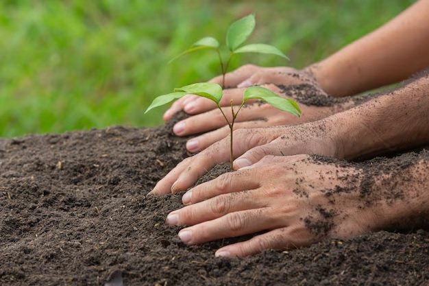 São Gonçalo realiza conferência sobre o meio ambiente