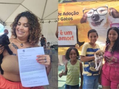 Feira de adoção em Maricá coloca 21 cães e gatos em novos lares, com cuidados de vermifugação e castração para todos os pets