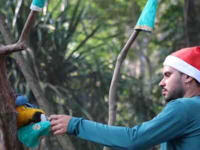 BioParque e AquaRio trazem programações especiais para o Natal