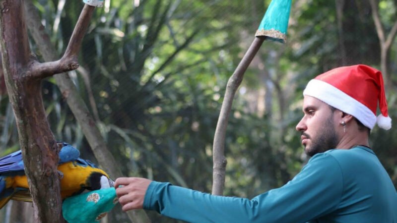 BioParque e AquaRio trazem programações especiais para o Natal