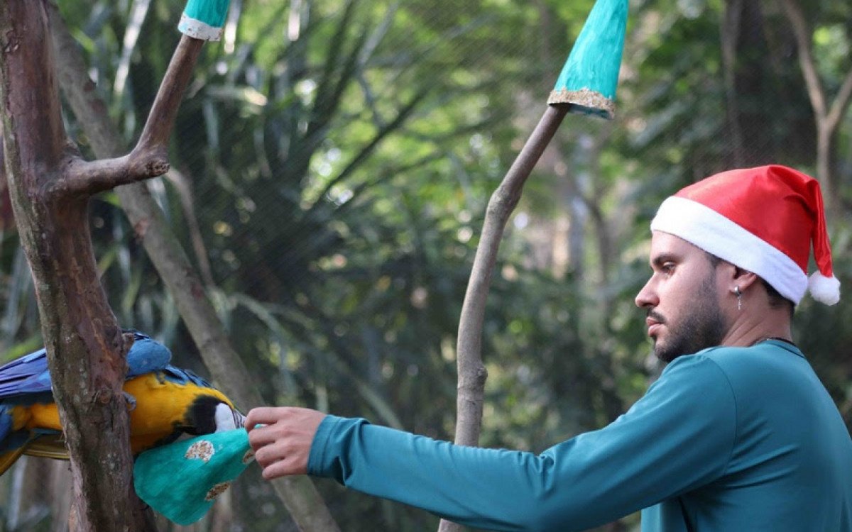 BioParque e AquaRio trazem programações especiais para o Natal