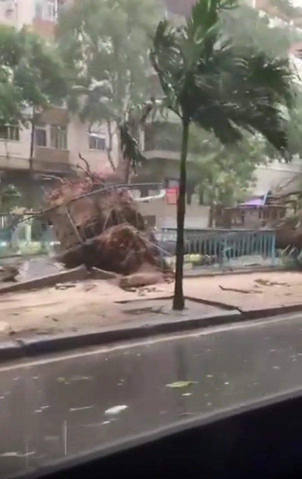 Chuva forte impacta bairros do Rio e Baixada Fluminense - Vídeos
