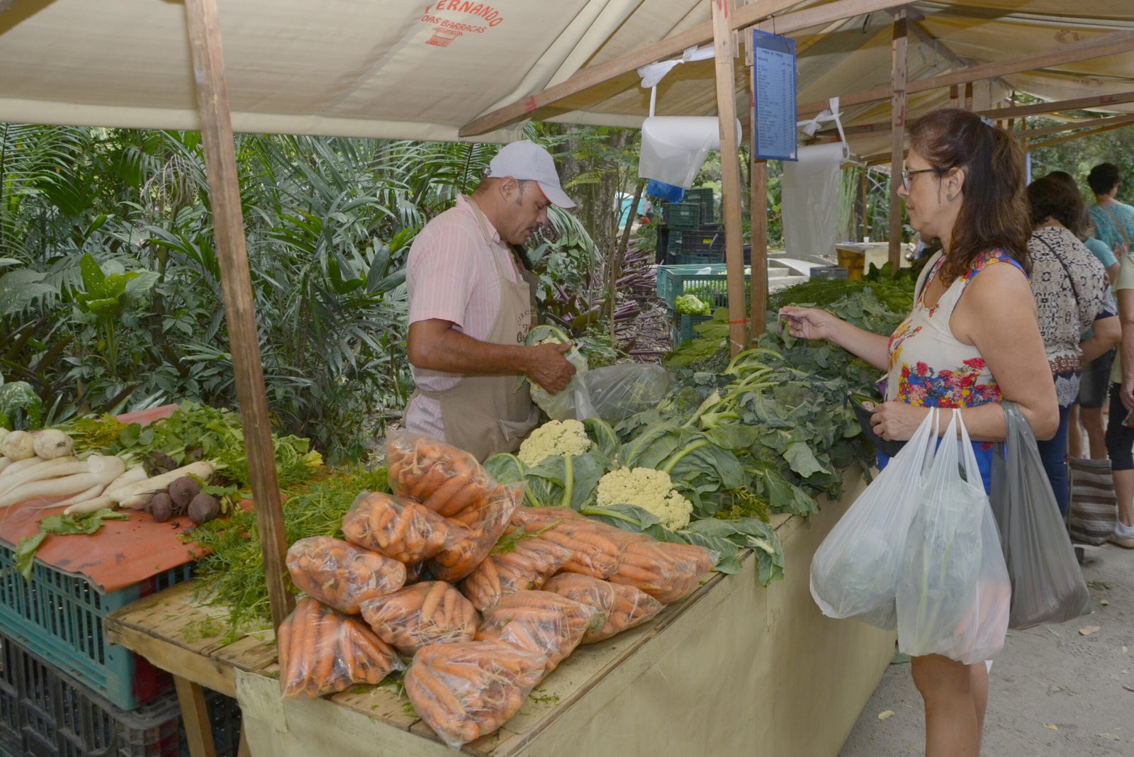 Niterói: Feira Agroecológica Ricardo Nery acontece neste sábado em Santa Rosa