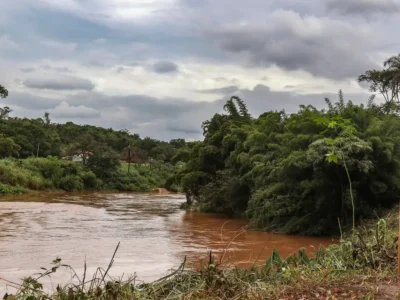 Crianças em Brumadinho apresentam metais na urina após desastre, aponta estudo