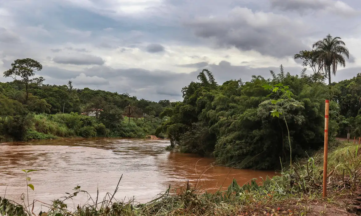 Crianças em Brumadinho apresentam metais na urina após desastre, aponta estudo