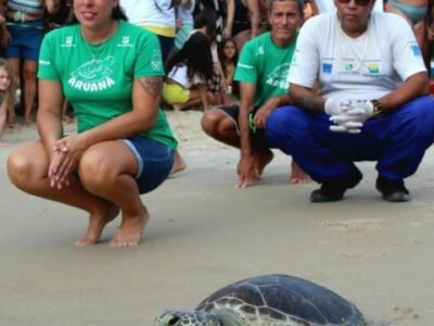 Tartaruga Maricota é devolvida ao mar após meses de reabilitação - Vídeo