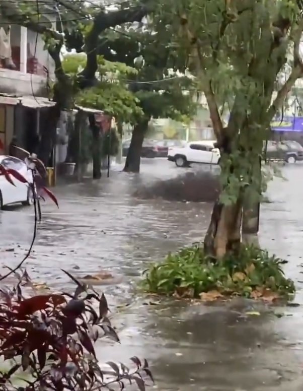 Temporal atinge o Rio e causa transtornos em diversas regiões - Vídeo