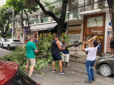 Niterói: Queda de árvore interdita rua em Icaraí - Vídeo