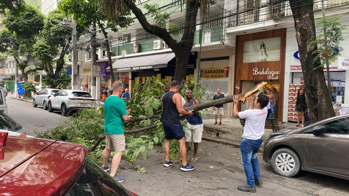 Niterói: Queda de árvore interdita rua em Icaraí - Vídeo