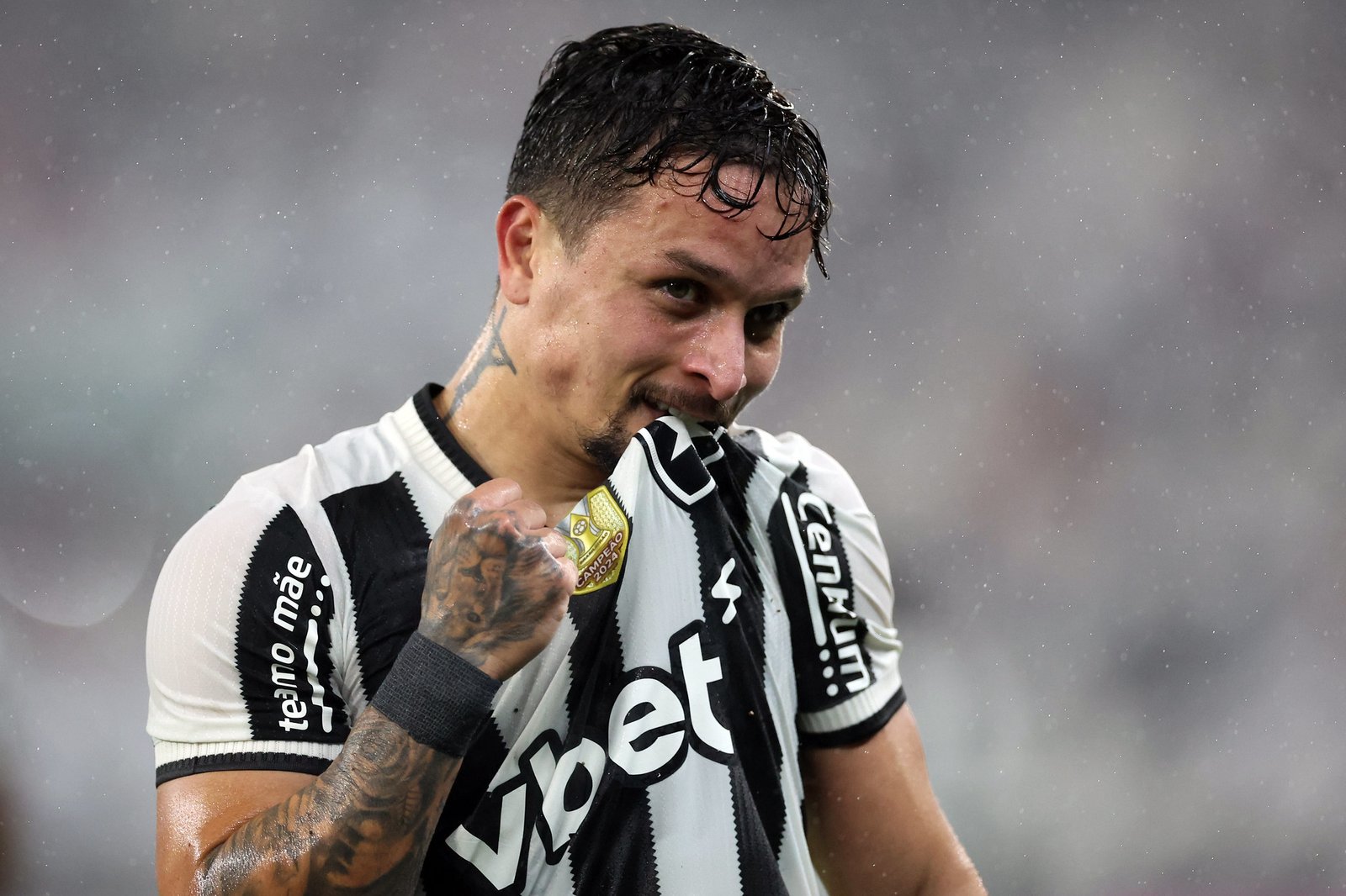Botafogo goleia em casa e apaga 'cachimbo do saci' pelo Brasileirão | Vitor Silva/Botafogo