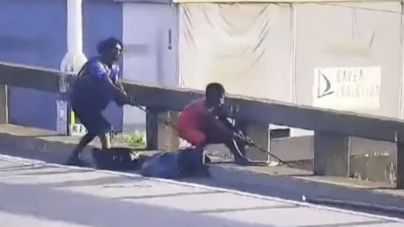 Flagrante sobre a ponte: dupla reincidente tenta furtar cabos e acaba presa