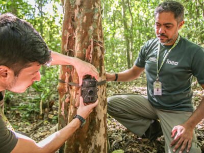 Dois funcionários instalam câmera de monitoramento em árvore para registrar fauna silvestre no RJ