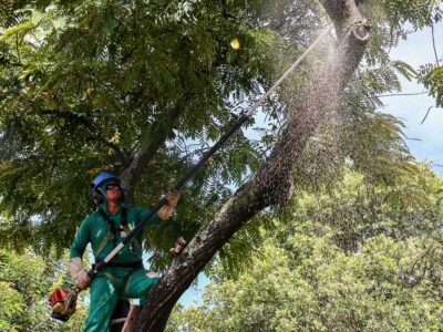 Agente da Prefeitura de Niterói poda árvore durante operação preventiva na Estrada Leopoldo Fróes