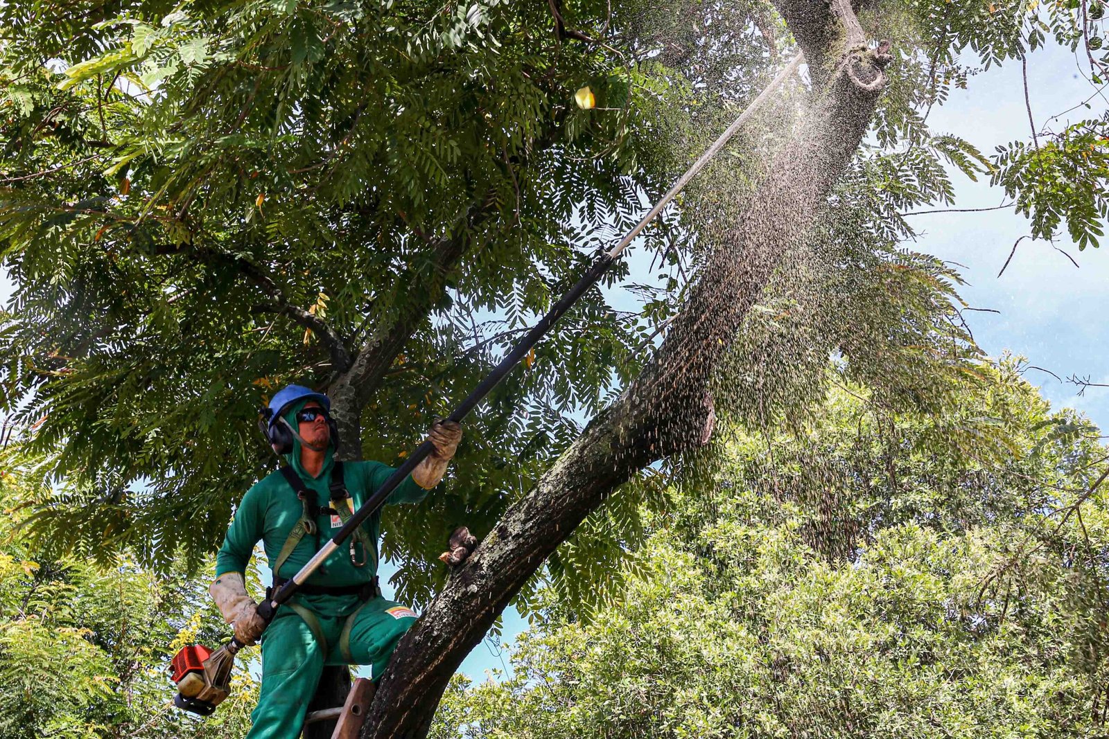 Agente da Prefeitura de Niterói poda árvore durante operação preventiva na Estrada Leopoldo Fróes
