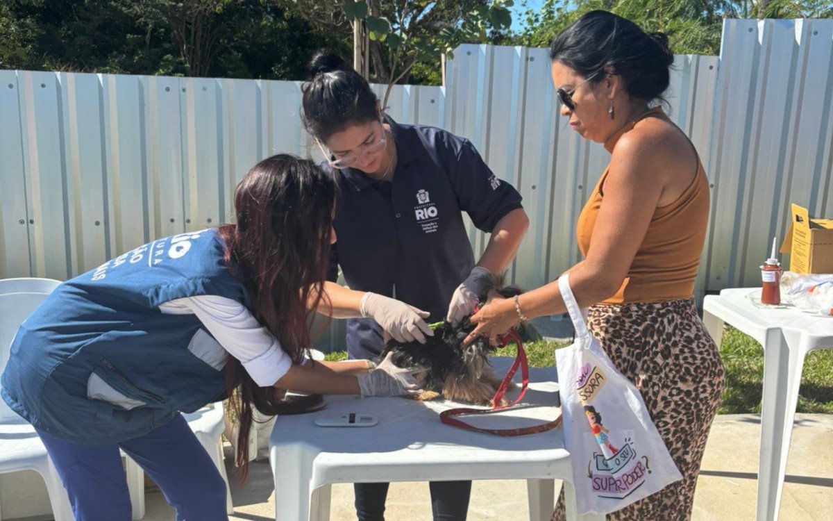 Imagem de Ironilda Ribeiro Joaquim segurando seus três cães após a microchipagem gratuita