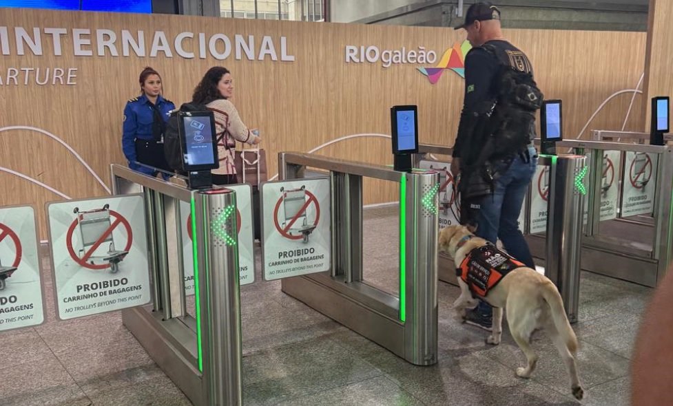Labrador Teddy embarca para Lisboa no Galeão, ao lado da irmã da menina autista, após dias de veto da TAP.