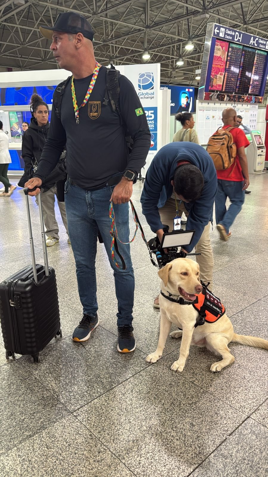 Cão Teddy no aeroporto do Galeão | Agência Folha do Leste