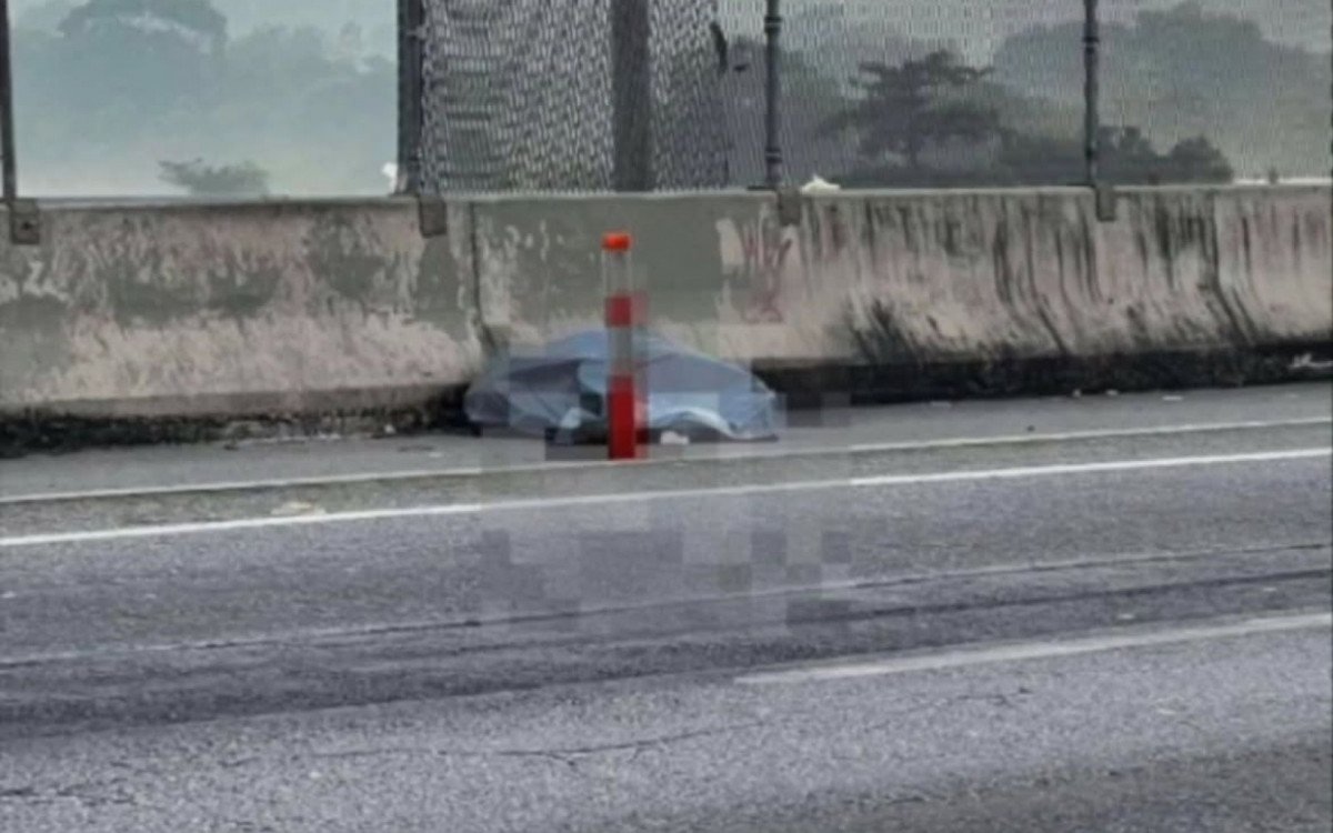Veículo danificado após atropelamento na BR-101 em São Gonçalo