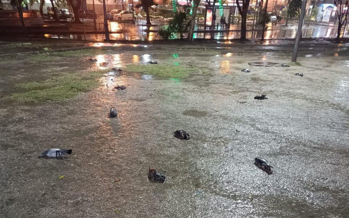 Equipe do Centro de Controle de Zoonoses recolhendo pombos mortos no Largo da Glória, Rio de Janeiro