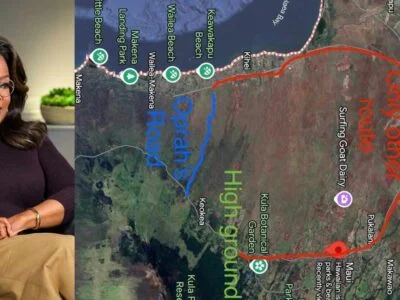 oprah winfrey, tsunami, estrada de oprah, evacuação em maui, estrada particular, fake news sobre oprah, oprah estrada fechada, maui tsunami, hawaii alerta, celebridade e emergência, desinformação oprah, oprah boato, oprah cancelamento, oprah x tsunami, oprah trending, oprah em crise, crítica oprah, boato hawaii tsunami, evacuação estrada privada, oprah winfrey maui, oprah e polícia
