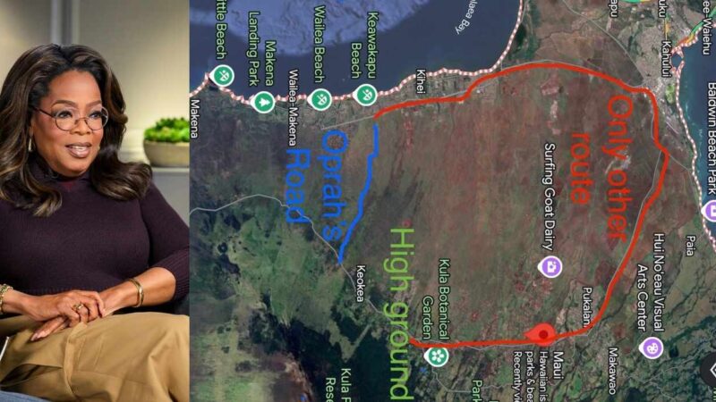 oprah winfrey, tsunami, estrada de oprah, evacuação em maui, estrada particular, fake news sobre oprah, oprah estrada fechada, maui tsunami, hawaii alerta, celebridade e emergência, desinformação oprah, oprah boato, oprah cancelamento, oprah x tsunami, oprah trending, oprah em crise, crítica oprah, boato hawaii tsunami, evacuação estrada privada, oprah winfrey maui, oprah e polícia