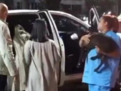 Policiais civis e SMPDA discutem durante atendimento a cadela atropelada na Ilha do Governador