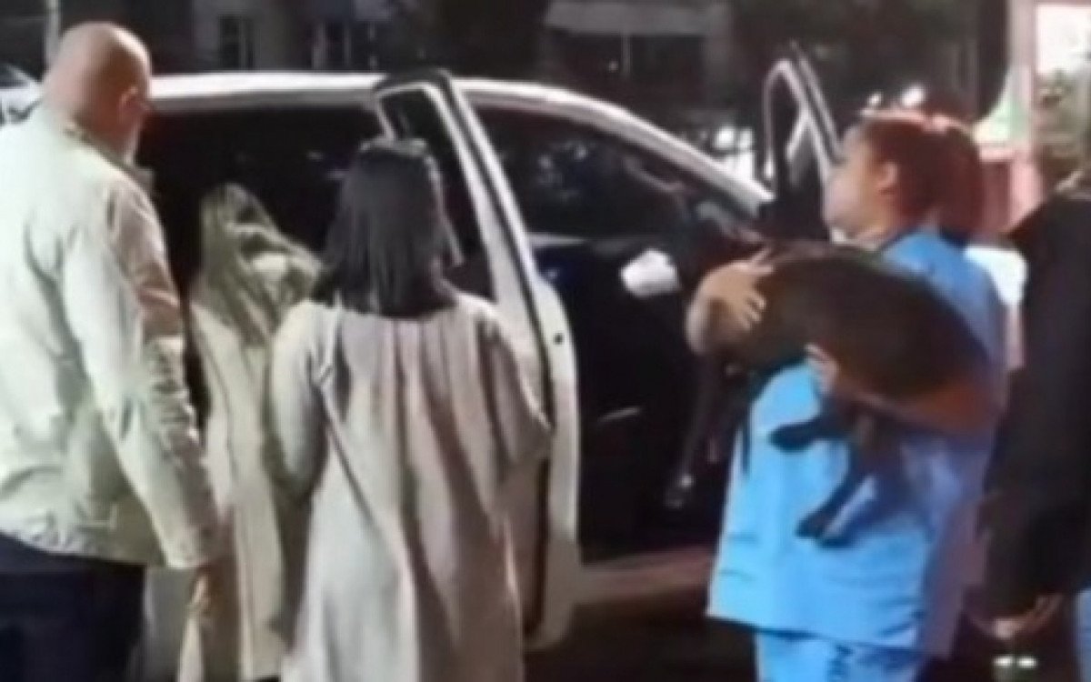 Policiais civis e SMPDA discutem durante atendimento a cadela atropelada na Ilha do Governador