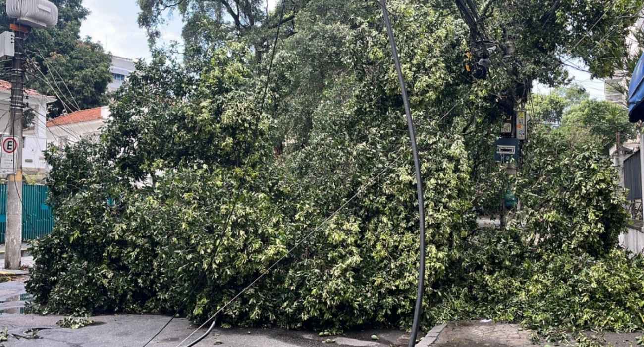 Árvore caída sobre fiação elétrica na Rua Almirante Cochrane, na Tijuca Árvore caída sobre fiação elétrica na Rua Almirante Cochrane, na Tijuca