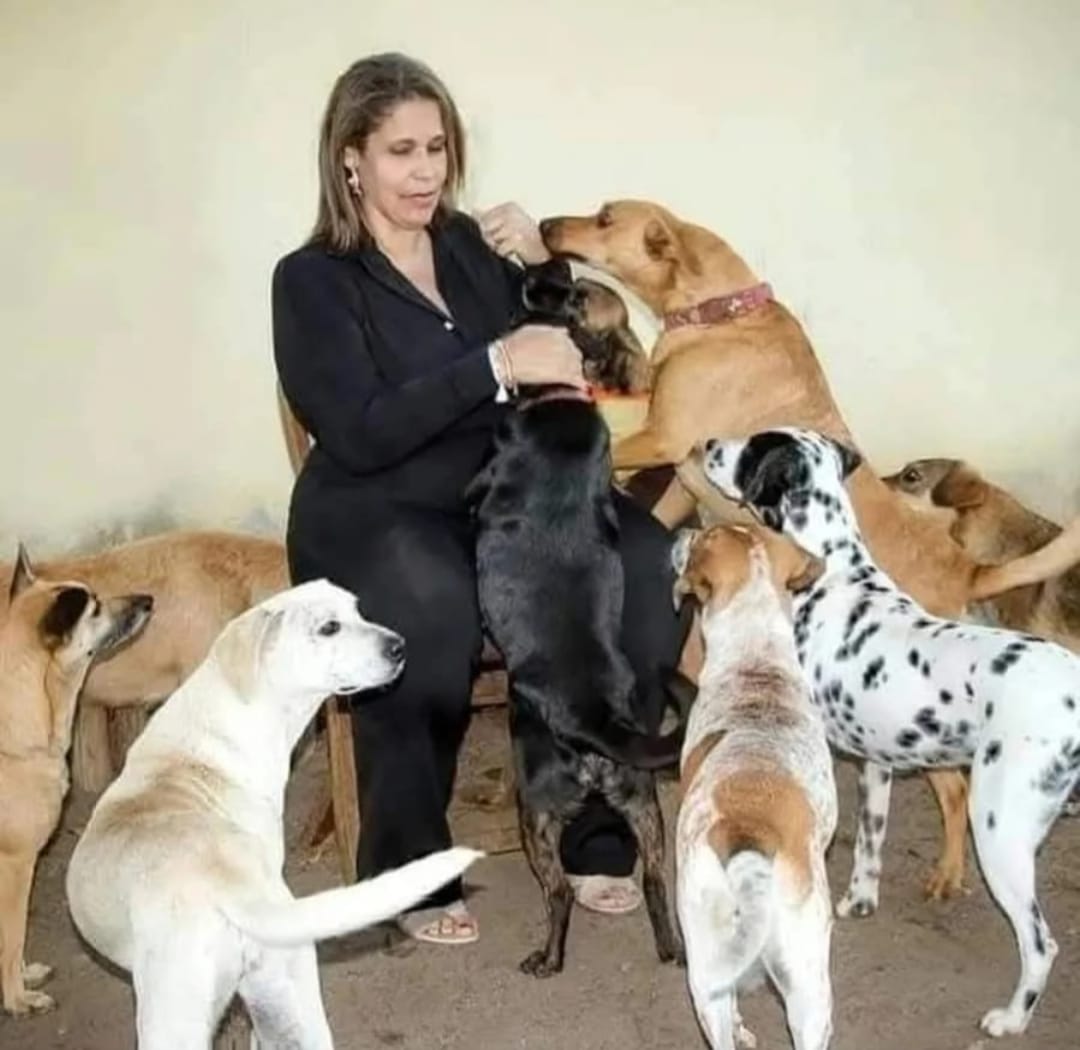 A mão única da solidariedade: Patrícia Nunes, ativista animal e de mulheres, agoniza à espera de um milagre