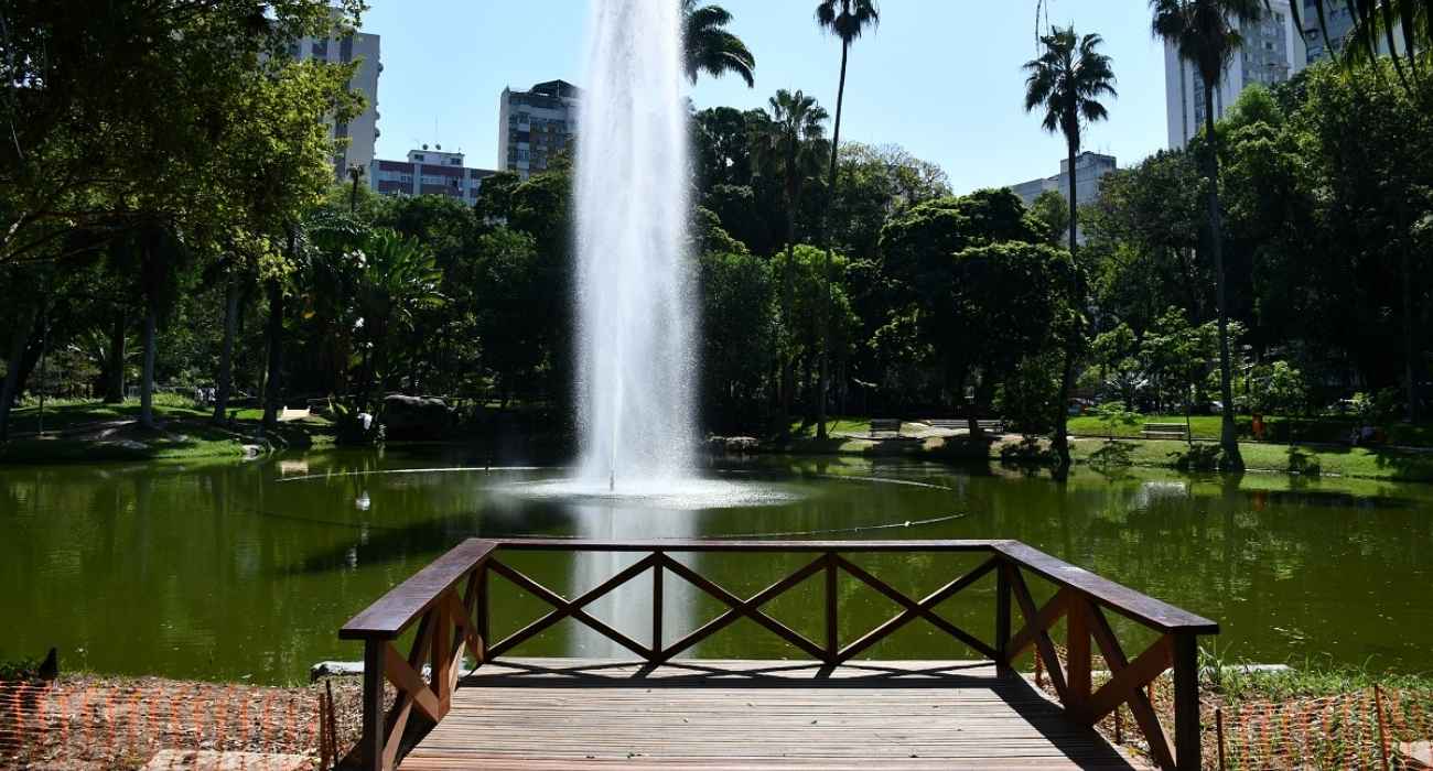 Campo de São Bento evacuado após queda de árvore com colmeia Campo de São Bento evacuado após queda de árvore com colmeia