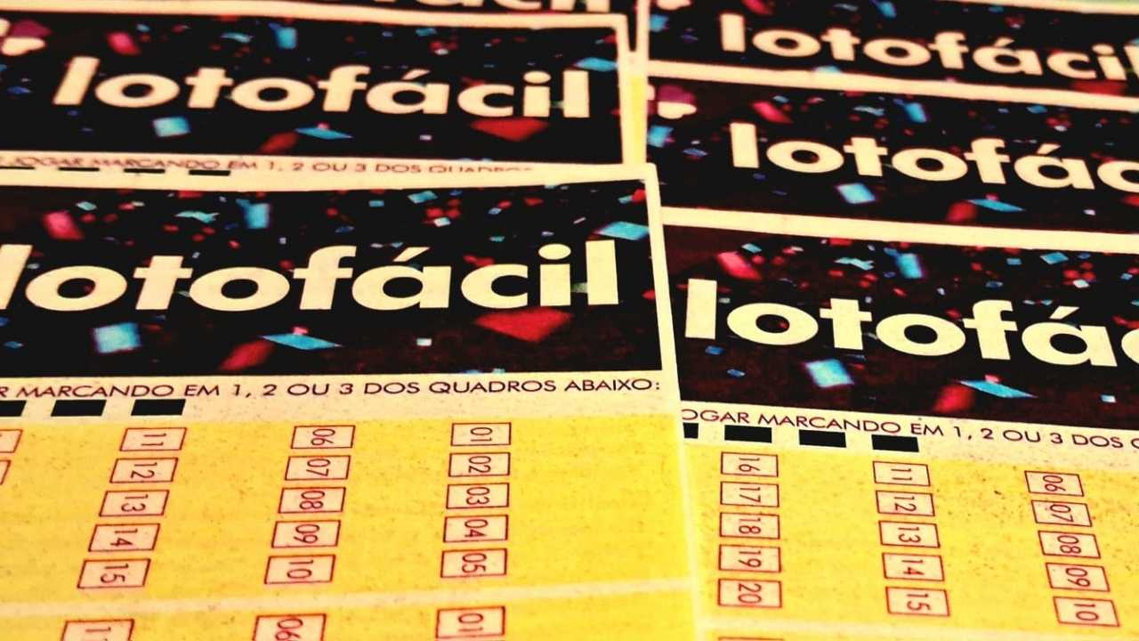 Resultado da Lotofácil agora: números sorteados no concurso 3591, premiação, dezenas e apostas ganhadoras de segunda-feira, 19/01/2026