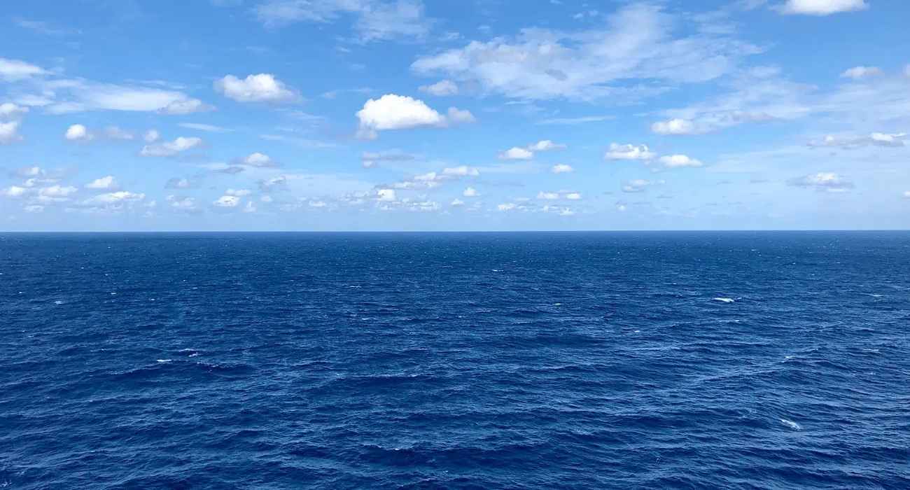 Tratado do Alto-Mar cria regras globais para proteger a biodiversidade oceânica em águas internacionais